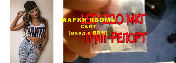эйфоретик Майский