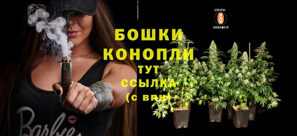 индика Липки