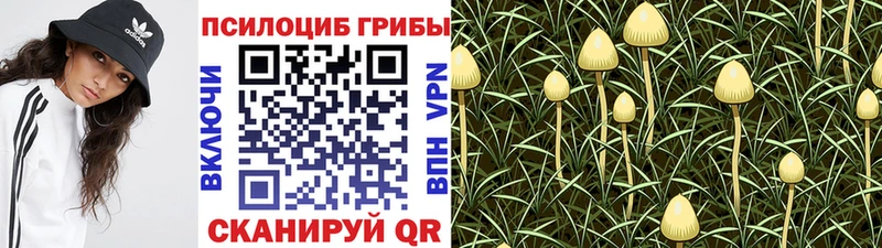 omg онион  Усинск  площадка состав  наркошоп  Галлюциногенные грибы ЛСД 