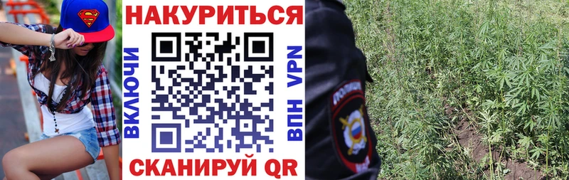 Каннабис конопля Усинск